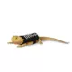 Product Thrills & Chills® Halloween Glow-in-the-Dark Reptile Skeleton T-Shirt
