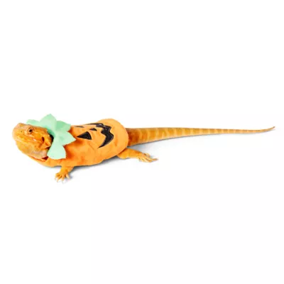 Product Thrills & Chills® Halloween Pumpkin Reptile Costume