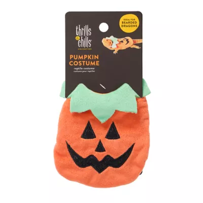 Product Thrills & Chills® Halloween Pumpkin Reptile Costume