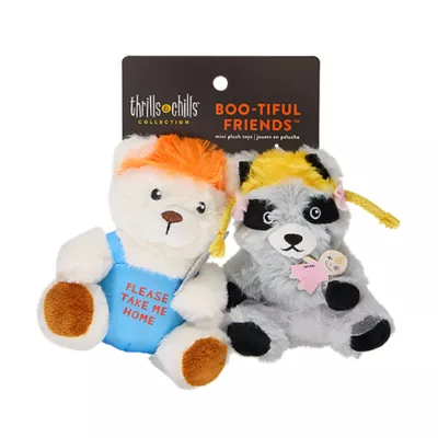 Product Thrills & Chills® Squeaker Plush Bear & Raccoon Dog Toys  - 2 Pk