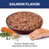 Hill's Science Diet Perfect Weight Adult Wet Dog Food Topper - Vegetables & Salmon, 2.8 oz image thumbnail 3