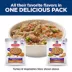 Hill's Science Diet Sensitive Stomach & Skin Variety Pack Adult Wet Dog Food Topper image thumbnail 3