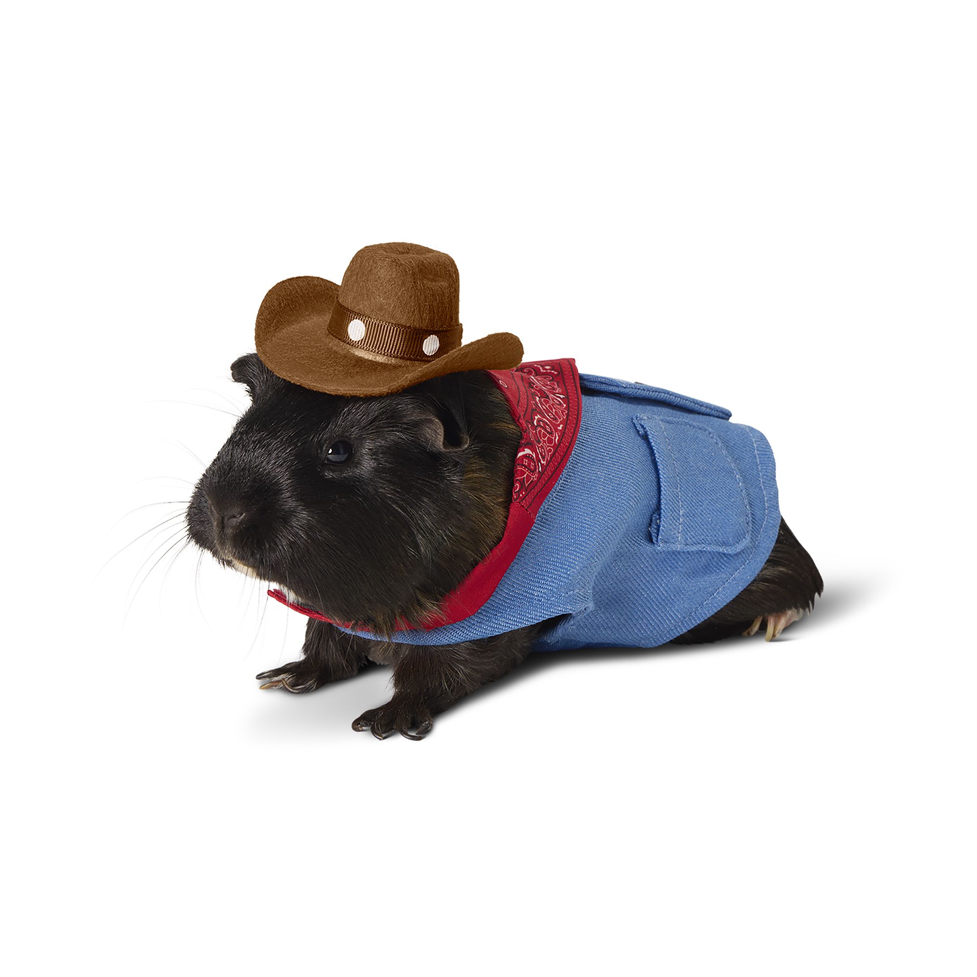 Thrills & Chills® Cowboy Small Pet Costume