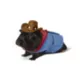 Product Thrills & Chills Small Pet Cowboy Costume