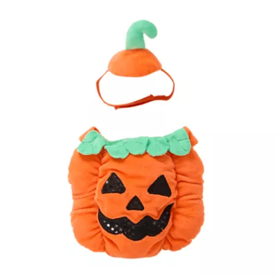 Product Thrills & Chills Small Pet Pumpkin Costume