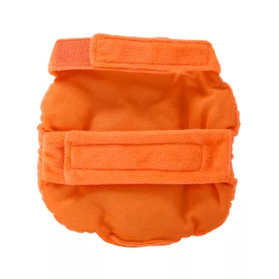Product Thrills & Chills Small Pet Pumpkin Costume