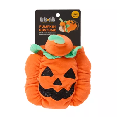 Product Thrills & Chills Small Pet Pumpkin Costume
