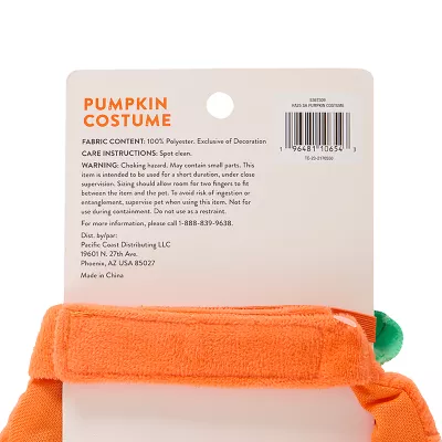 Product Thrills & Chills Small Pet Pumpkin Costume