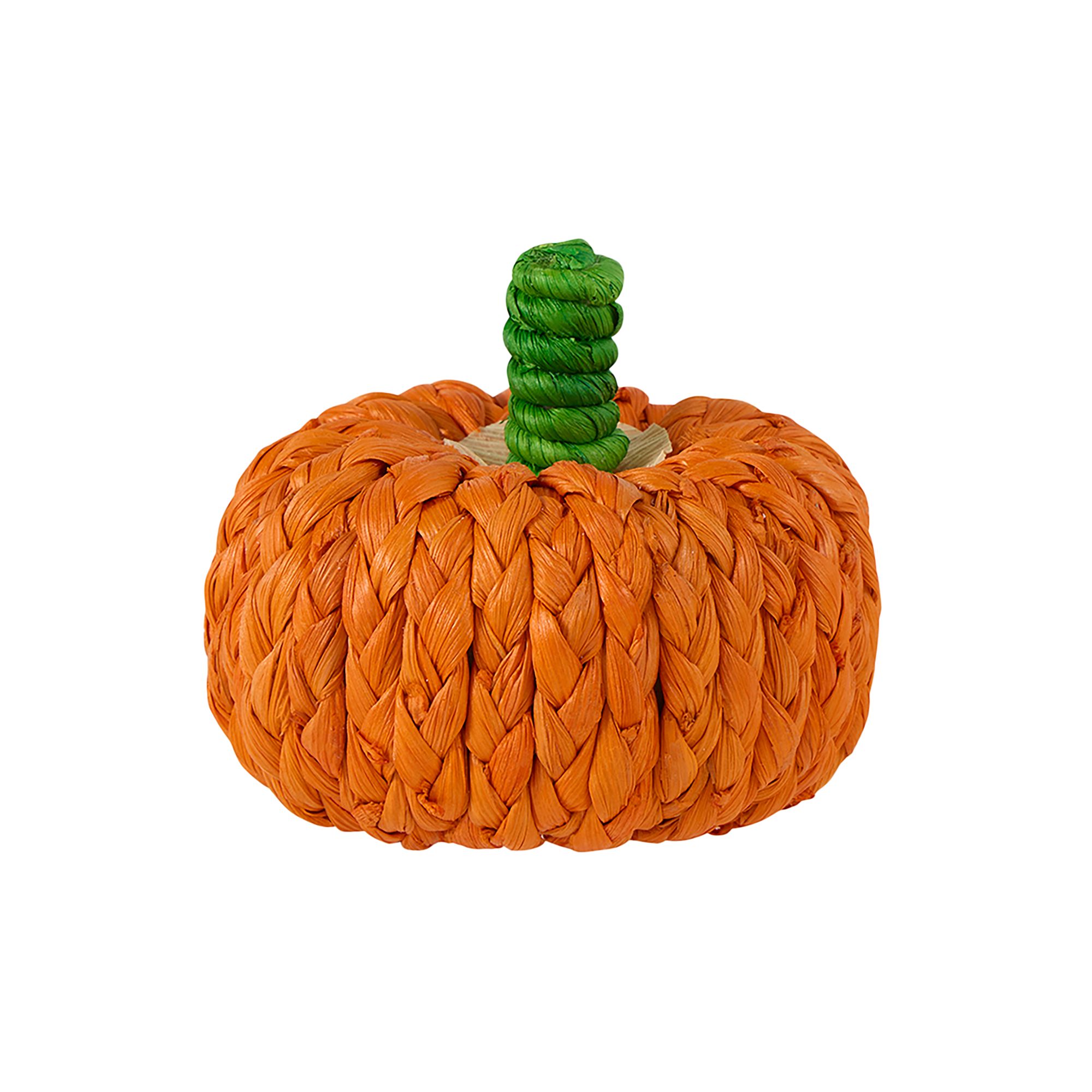 Thrills & Chills® Small Pet Corn Husk Pumpkin Chew