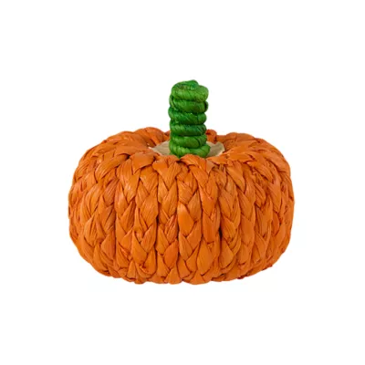 Product Thrills & Chills Small Pet Corn Husk Pumpkin Chew