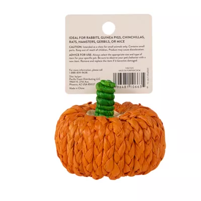 Product Thrills & Chills Small Pet Corn Husk Pumpkin Chew
