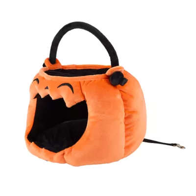 Product Thrills & Chills® Small Pet Pumpkin Spooky Slumber Bed