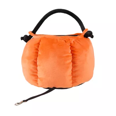 Product Thrills & Chills® Small Pet Pumpkin Spooky Slumber Bed