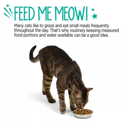 Whisker City® Stainless Steel Cat Saucer - Image 5