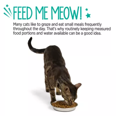 Whisker City® Stainless Steel Cat Saucer - Image 5