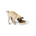 Top Paw® Basic Stainless Steel Dog Bowl image thumbnail 6