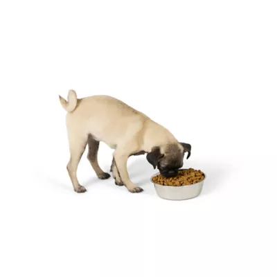 Top Paw® Embossed Bone Dog Bowl - Image 6