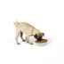 Top Paw® Embossed Bone Dog Bowl image thumbnail 6