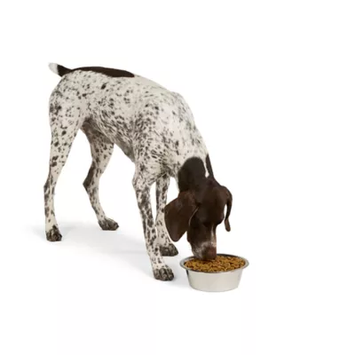 Product Top Paw® Basic Stainless Steel Dog Bowl