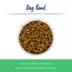 Top Paw® Embossed Bone Dog Bowl image thumbnail 2