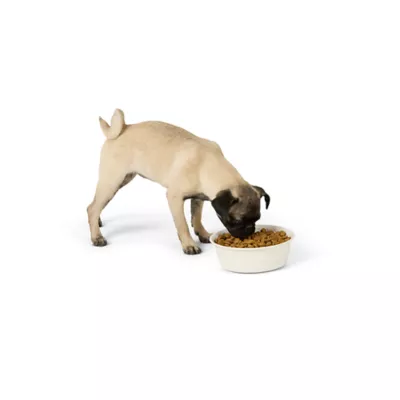 Top Paw® Embossed Bone Dog Bowl - Image 6