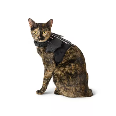 Product Thrills & Chills® Halloween Cat and Bat Kitten Harness