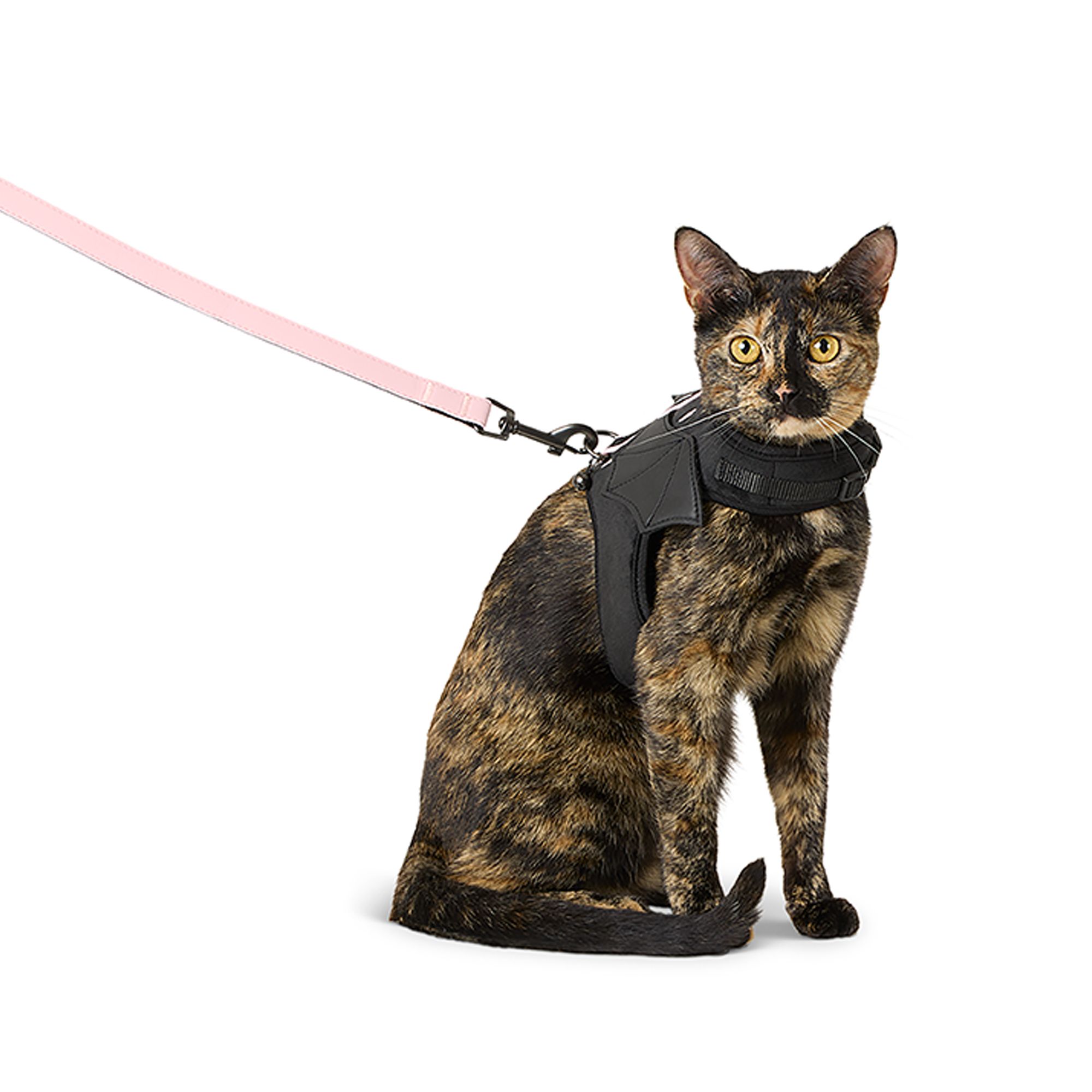 Hohopeti Pet Harness For Cats Cat Walking Harness And Traction Rope One-hand Control