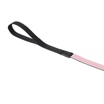Product Thrills & Chills® Cat Bat Harness