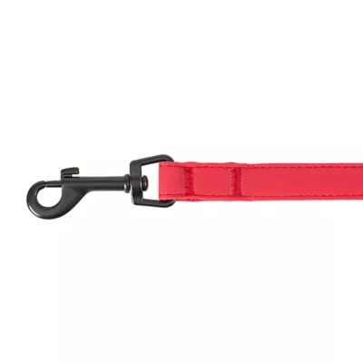Product Thrills & Chills® Devil Costume Harness