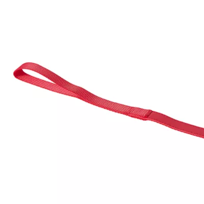 Product Thrills & Chills® Devil Costume Harness