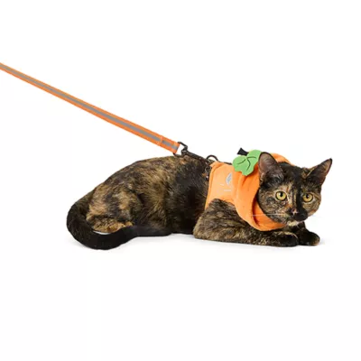 Product Thrills & Chills® Pumpkin Cat Costume Harness