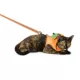 Product Thrills & Chills® Pumpkin Cat Costume Harness