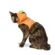 Product Thrills & Chills® Pumpkin Cat Costume Harness