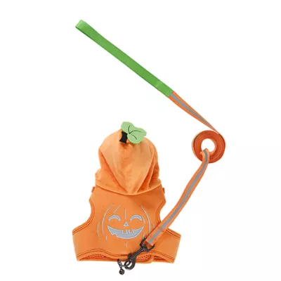 Product Thrills & Chills® Pumpkin Cat Costume Harness