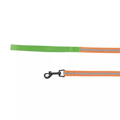 Product Thrills & Chills® Pumpkin Cat Costume Harness