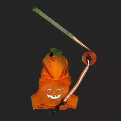 Product Thrills & Chills® Pumpkin Cat Costume Harness