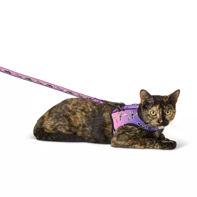 Product Thrills & Chills® Halloween Cat and Bat Kitten Harness