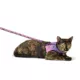 Product Thrills & Chills® Halloween Cat and Bat Kitten Harness