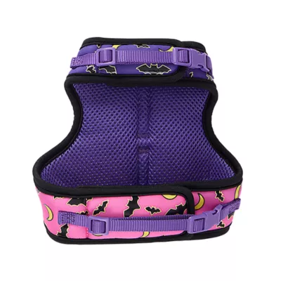 Product Thrills & Chills® Halloween Cat and Bat Kitten Harness