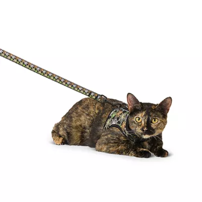 Product Thrills & Chills® Spiderwebs Cat Harness