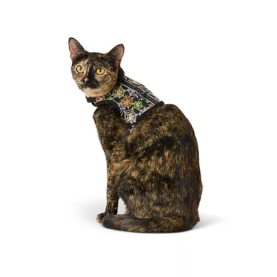 Product Thrills & Chills® Spiderwebs Cat Harness