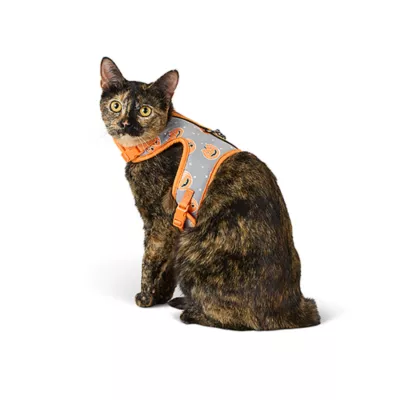 Product Thrills & Chills® Pumpkin Cat Harness
