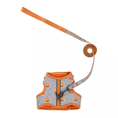 Product Thrills & Chills® Pumpkin Cat Harness