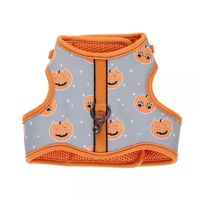 Product Thrills & Chills® Pumpkin Cat Harness