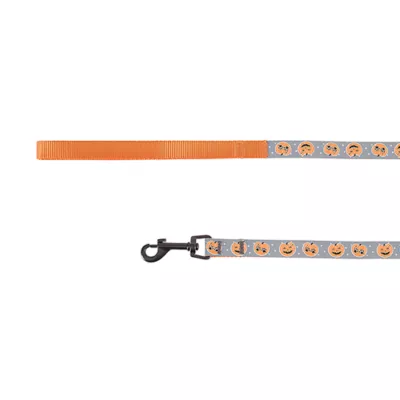 Product Thrills & Chills® Pumpkin Cat Harness