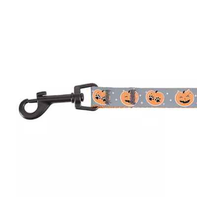 Product Thrills & Chills® Pumpkin Cat Harness