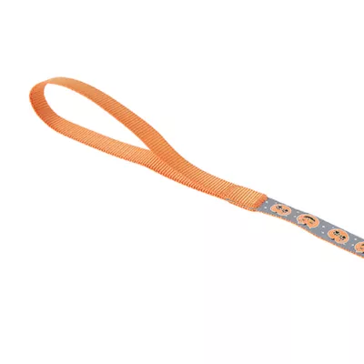 Product Thrills & Chills® Pumpkin Cat Harness