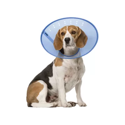 Product Calm Paws CALMING E-Collar, Blue