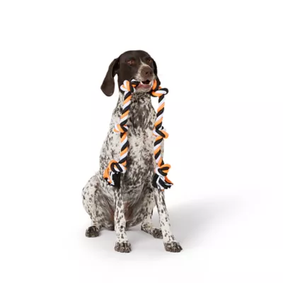Product Thrills & Chills® XL Rope Toy for Dogs