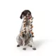 Product Thrills & Chills® XL Rope Toy for Dogs